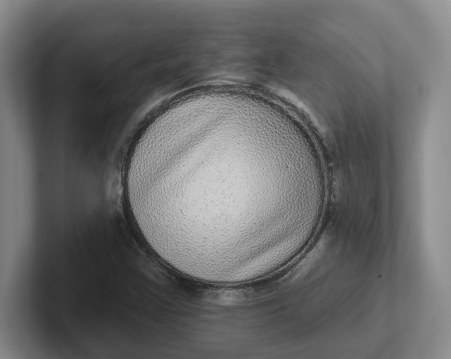 X0000102291355200808081514