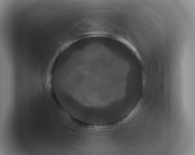 X0000102291357200808081514