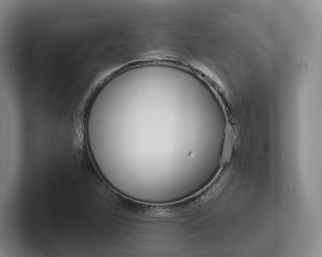 X0000102291358200808081514