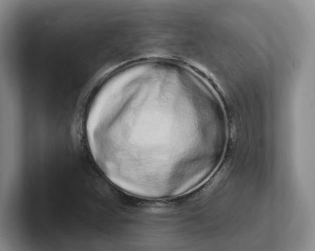 X0000102291359200808081514