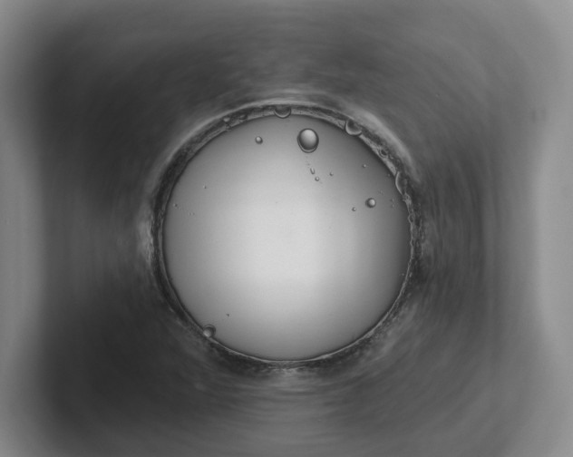 X0000102291360200808081514