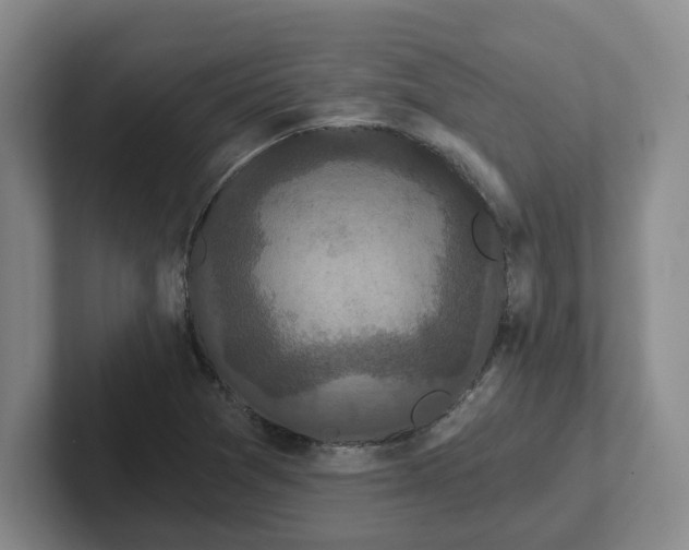 X0000102291361200808081514