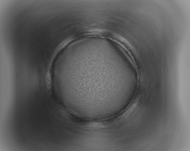 X0000102291362200808081514