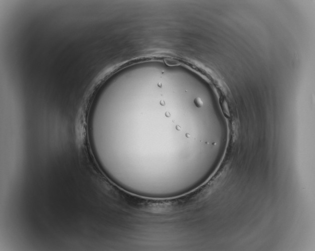 X0000102291363200808081514