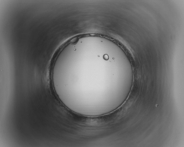 X0000102291364200808081514