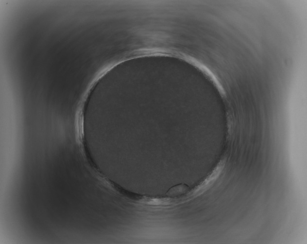 X0000102291365200808081514