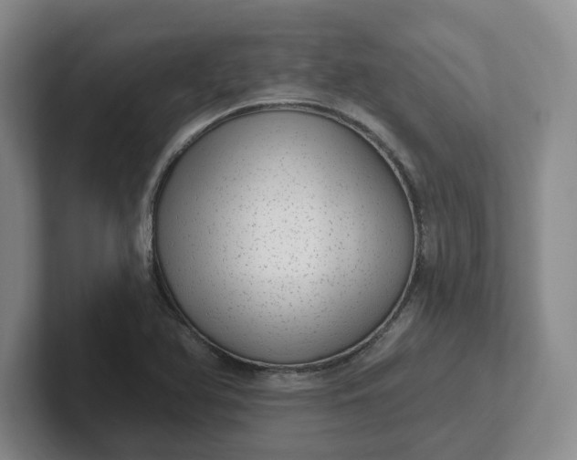 X0000102291366200808081514