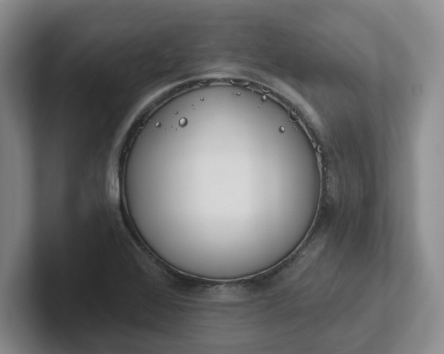 X0000102291368200808081514