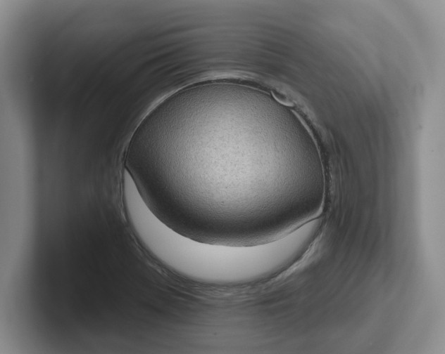 X0000102291369200808081514