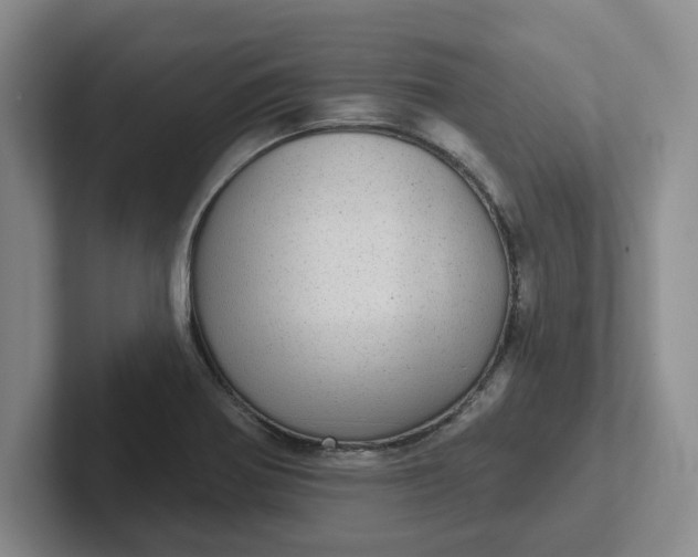 X0000102291370200808081514