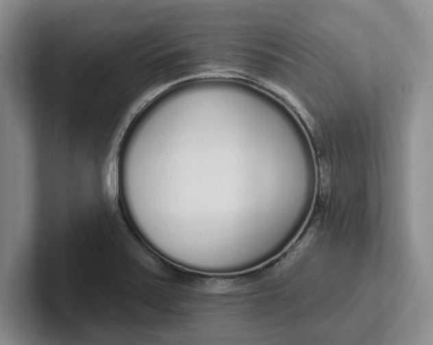 X0000102291371200808081514