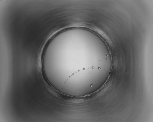 X0000102291372200808081514