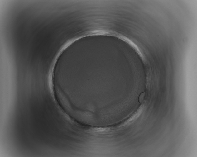 X0000102291373200808081514