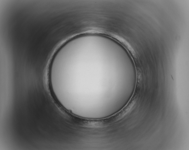 X0000102291375200808081514