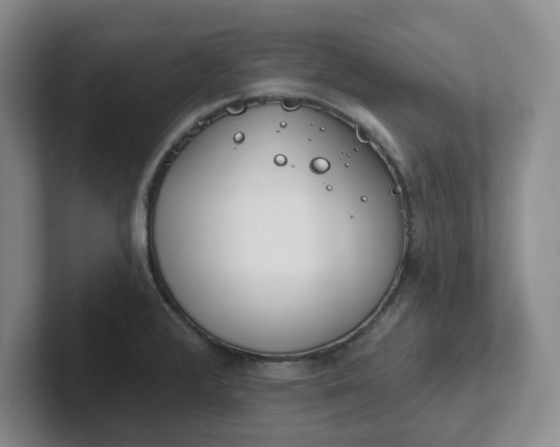 X0000102291376200808081514