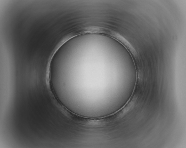 X0000102291378200808081514