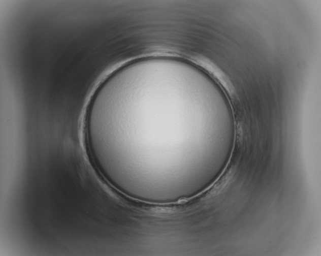 X0000102291379200808081514