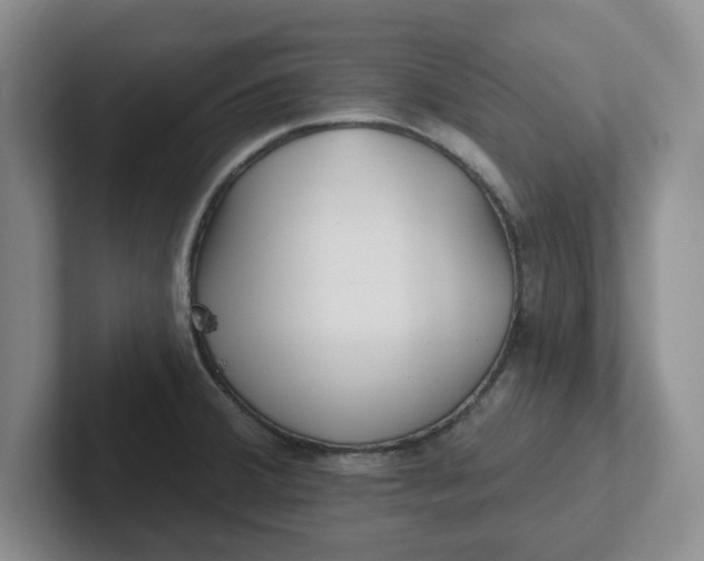 X0000102291380200808081514