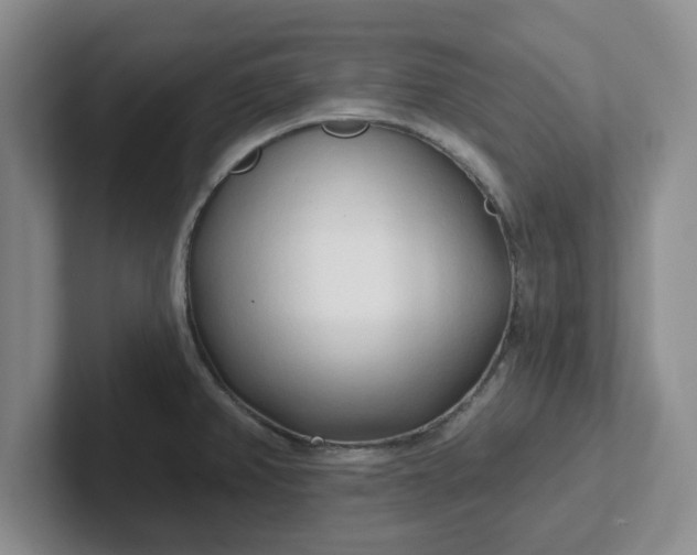 X0000102291382200808081514