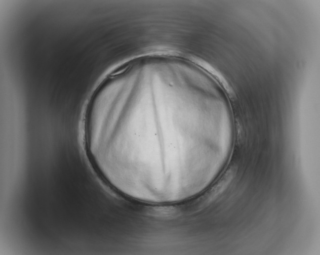 X0000102291383200808081514