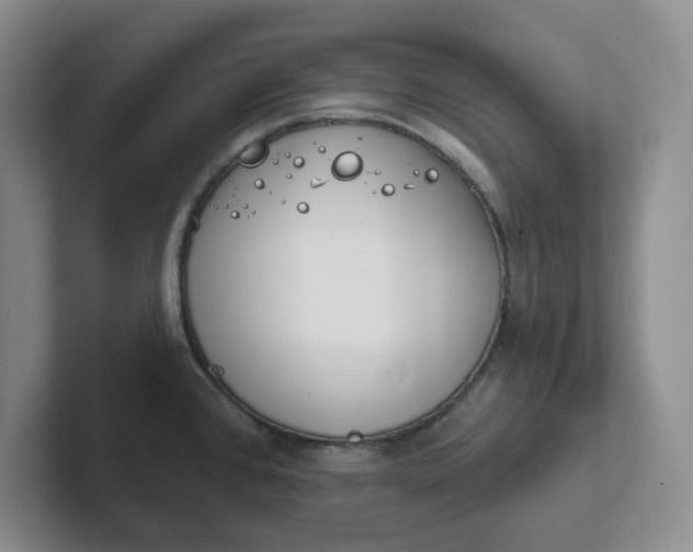 X0000102291384200808081514