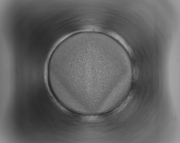 X0000102291387200808081514