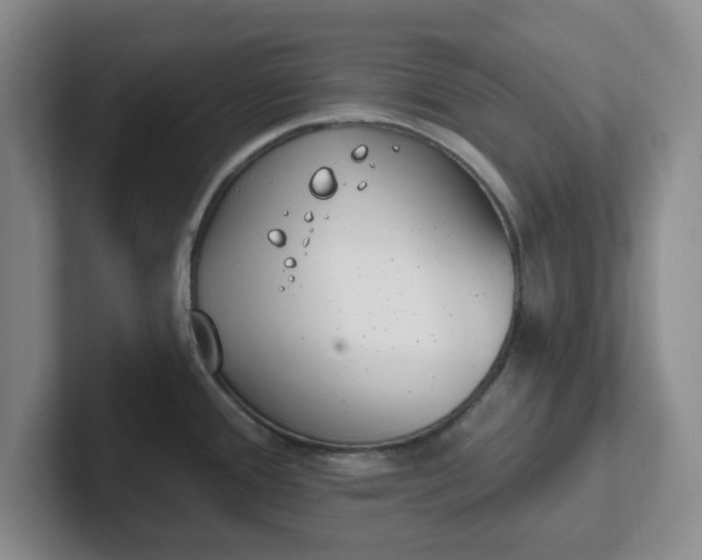 X0000102291388200808081514