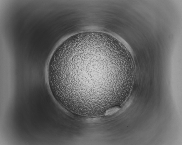 X0000102291389200808081514