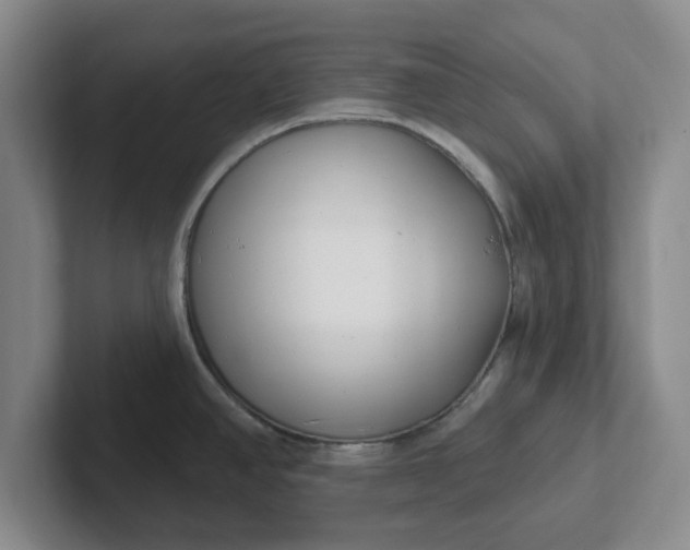 X0000102291390200808081514