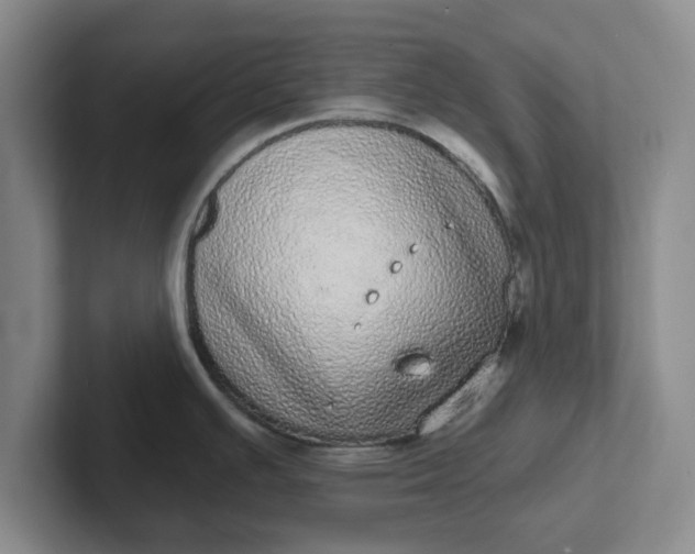 X0000102291391200808081514