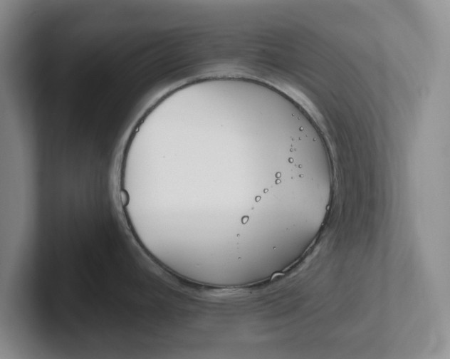 X0000102291392200808081514