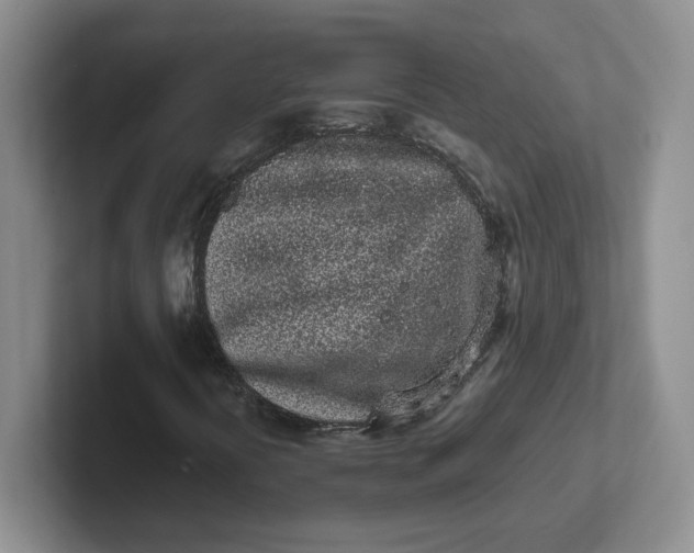 X0000102291394200808081513