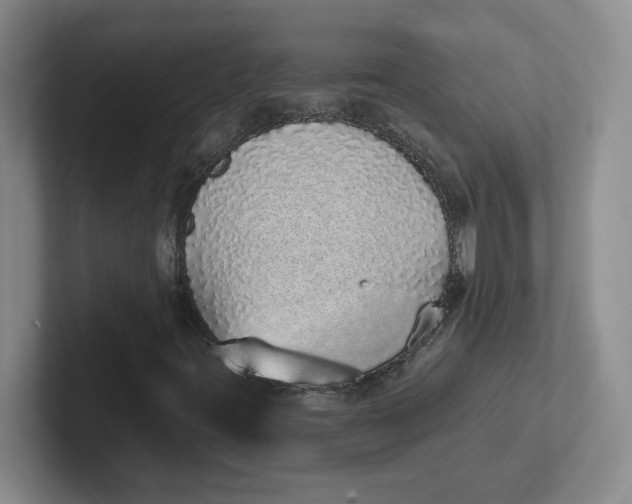 X0000102291395200808081513