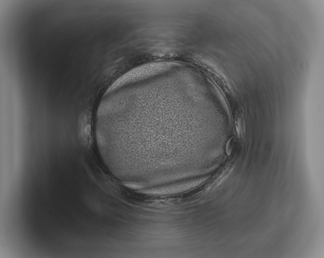 X0000102291396200808081513