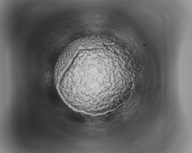 X0000102291397200808081513