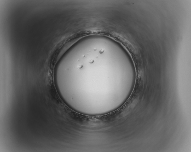 X0000102291398200808081513