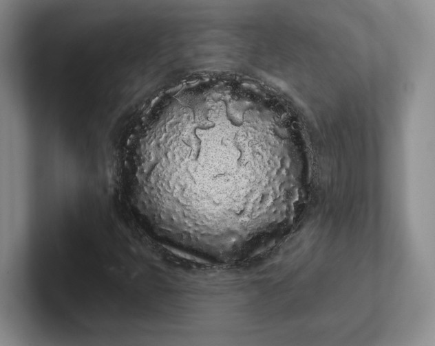 X0000102291399200808081513