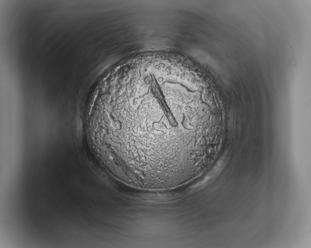 X0000102291401200808081513