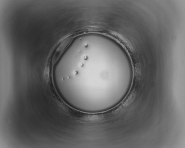 X0000102291402200808081513