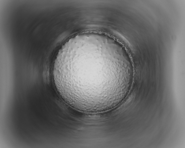 X0000102291403200808081513