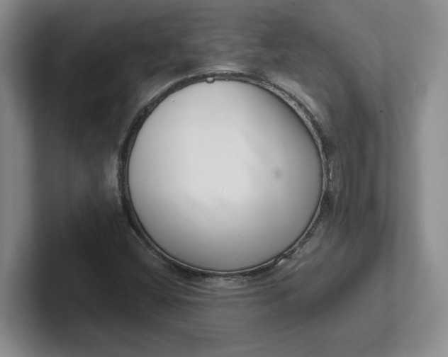 X0000102291404200808081513