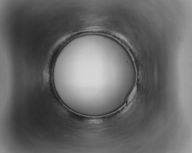 X0000102291406200808081513