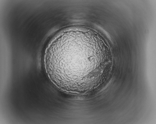 X0000102291411200808081513