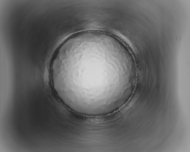 X0000102291415200808081513