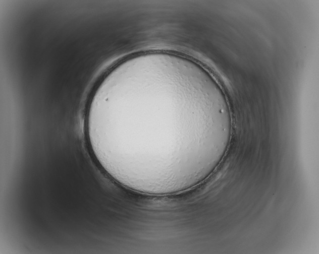 X0000102291416200808081513