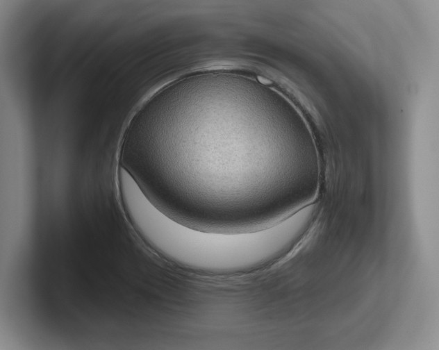 X0000102291417200808081513