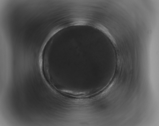 X0000102291418200808081513