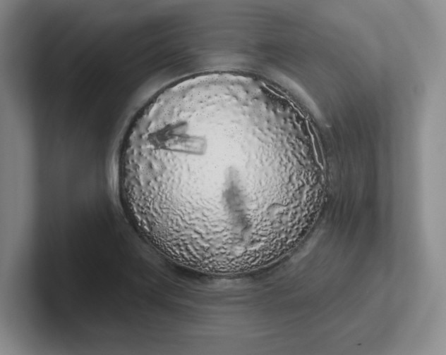 X0000102291419200808081513