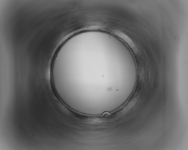 X0000102291420200808081513