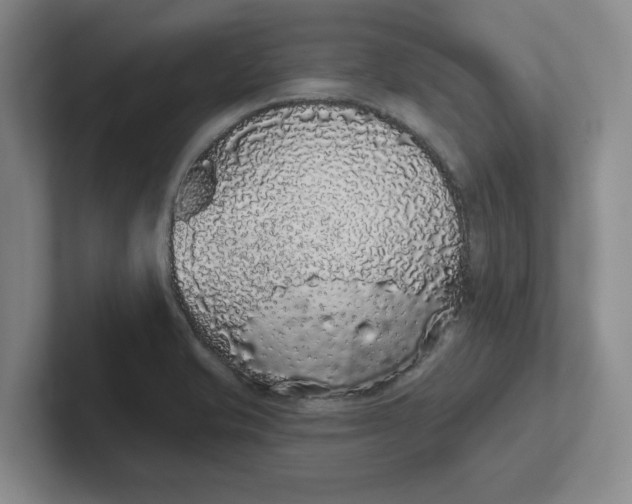 X0000102291421200808081513